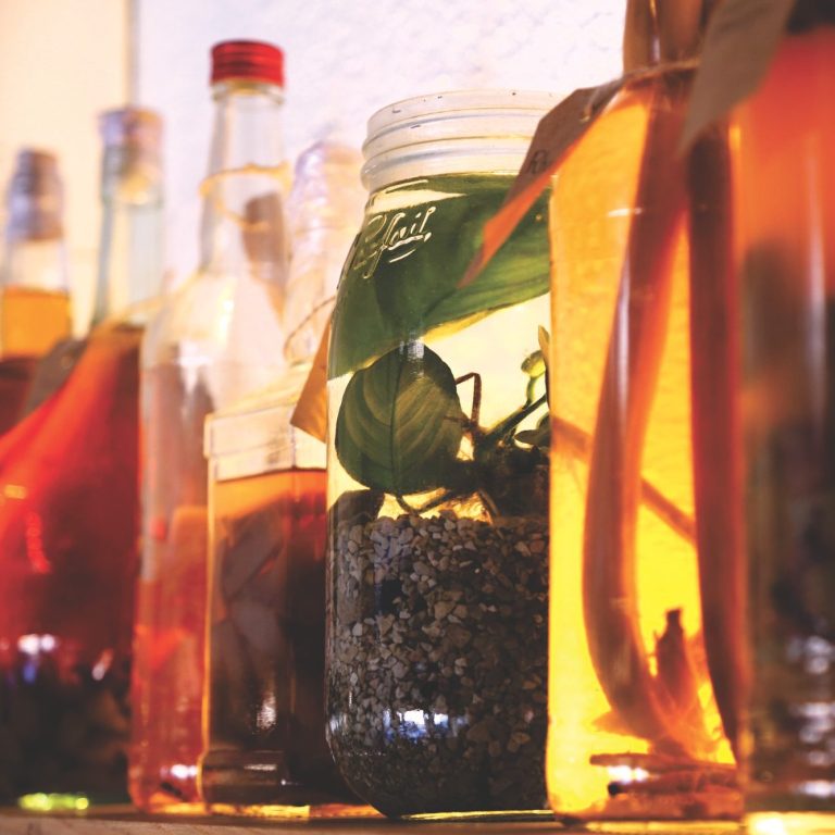 Des soirées animées et des événements à ne pas manquer !